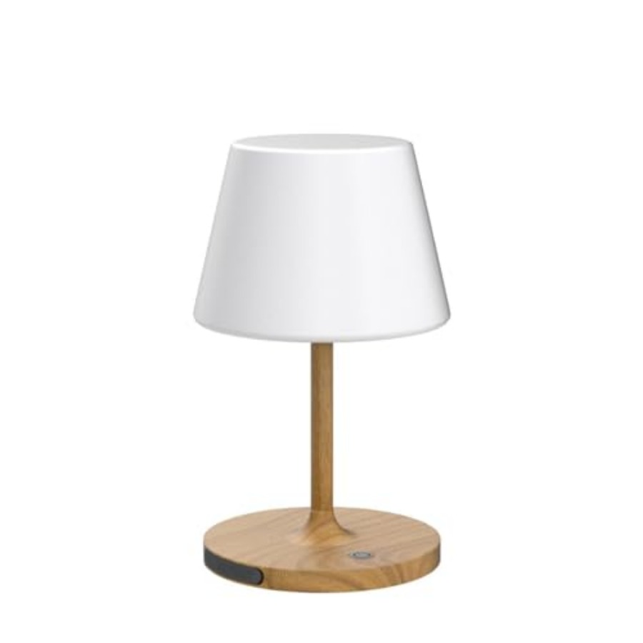 مصباح طاولة خارجي يعمل بالبطار - مراجعة Desk Lamp وسعره