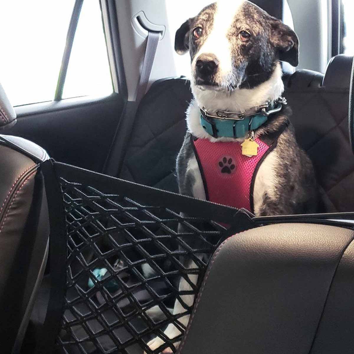 كلب المقعد الخلفي سياج السيارة - مراجعة Partition Screen Divider وسعره